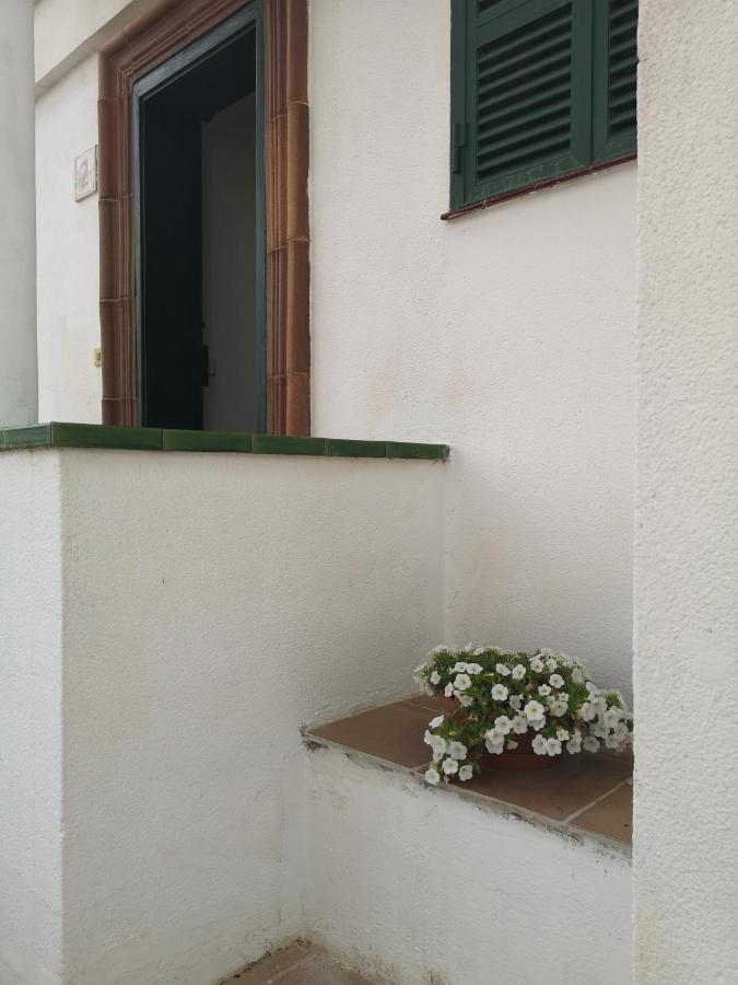 Toni'S Apartament Menorca Cala 'n Bosch Buitenkant foto